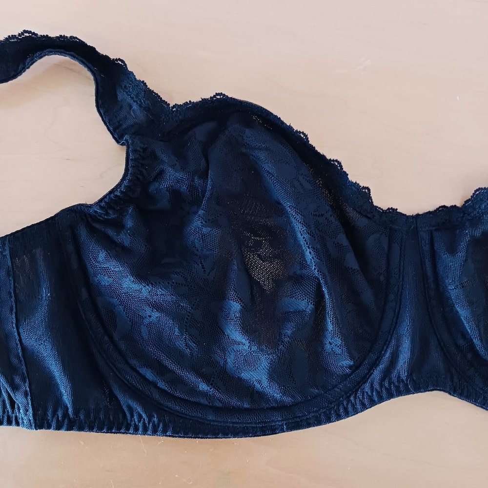 Warner's 40DD Black Lace Bra